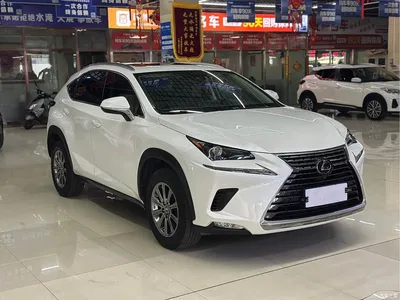 2020 Lexus NX 200 AWD F Sport China VI, фото 3, лот 10318843