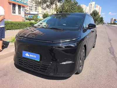 2024 XPeng X9 702 Long Range Pro, фото 1, лот 10375951