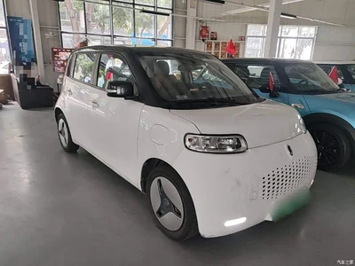 2020 Ora White Cat 360km Luxury Model, фото 4, лот 11568702