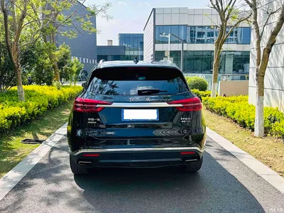 2022 Hongqi HS5 Facelift 2.0T Smart Flag Enjoyment AWD Edition, фото 3, лот 10285431