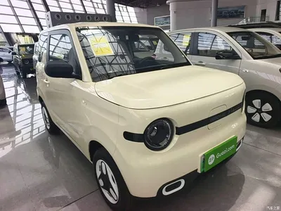 2025 Geely Galaxy Panda mini 210km Vitality Bear, фото 4, лот 10433370