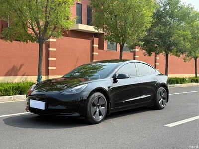 2022 Tesla Model 3 Model Rear-Wheel Drive Version, фото 1, лот 10353955