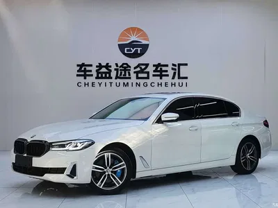 2021 BMW 5 Series 530Li xDrive Luxury Package, фото 1, лот 11517058