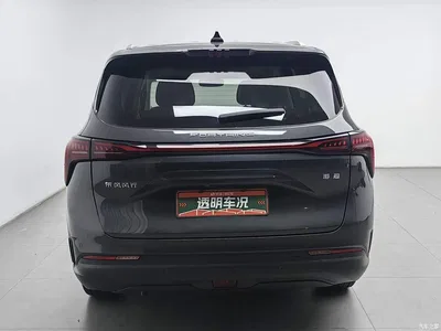 2022 Dongfeng Fengxing Yacht 1.5T DCT Wave Chaser Edition, фото 4, лот 11164753