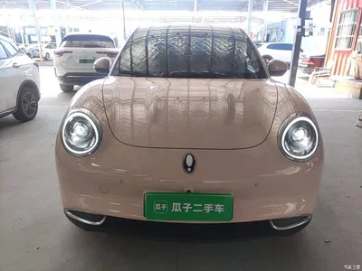 2022 Ora Good Cat 400km Standard Range Luxury NMC, фото 3, лот 11583077