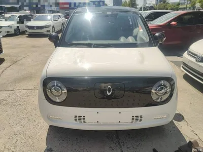 2021 Ora Black Cat 351km Standard Model, фото 3, лот 10330489