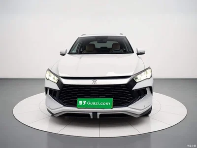 2023 BYD Song Pro New Energy Champion Edition DM-i 110KM Excellence, фото 2, лот 11132522
