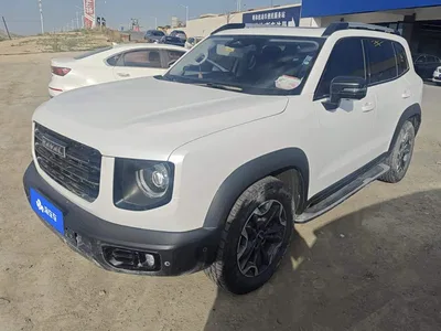2021 Haval Big Dog 2.0T DCT AWD Howling Celestial Dog Edition, фото 1, лот 10902422