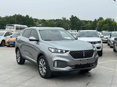 2020 WEY VV6 2.0T 2WD Smart Enjoy+, фото 3, лот 10451837