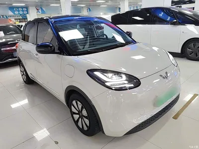 2023 Wuling Motors Wuling Bingo 410km Lingxi Premium Edition, фото 4, лот 10369307