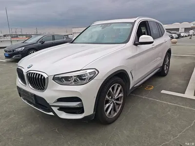 2020 BMW X3 xDrive25i Luxury Package, фото 1, лот 11137496