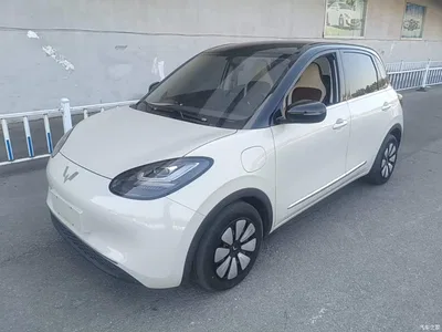 2024 Wuling Motors Wuling Bingo 333km Comfort Edition, фото 2, лот 10368413