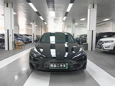 2022 Tesla Model 3 Model Rear-Wheel Drive Version, фото 3, лот 10366495