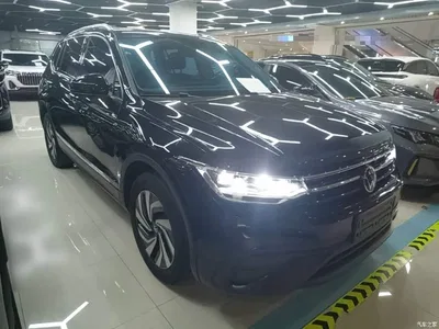 2024 Volkswagen Tiguan L Outstanding 300TSI Auto 2WD Dragon Soaring Edition, фото 4, лот 10462309