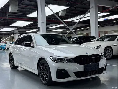 2021 BMW 3 Series 325Li M Sport Night Edition, фото 3, лот 10463399