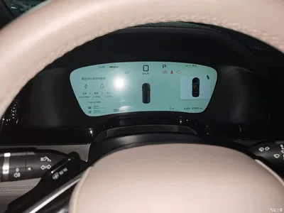 2025 BYD Tang New Energy Smart Driving Edition DM-i 115KM Premium, фото 4, лот 10272188