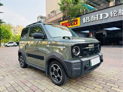 2025 Geely Galaxy Panda Model Year 210km Panda Knight, фото 1, лот 10431247