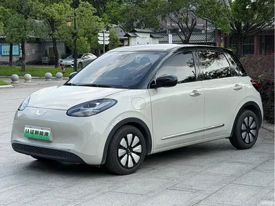 2023 Wuling Motors Wuling Bingo Model 333km Telepathic Connect+ Version, фото 1, лот 10367340