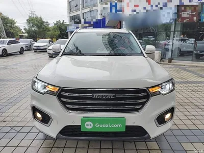 2019 Haval H7 2.0T YueXiang (China VI), фото 3, лот 10389531