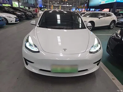 2021 Tesla Model 3 Standard Range Rear-Wheel Drive Upgrade, фото 3, лот 11012356