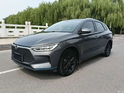 2020 BYD e2 Upgraded Long Range Luxury, фото 1, лот 10410919