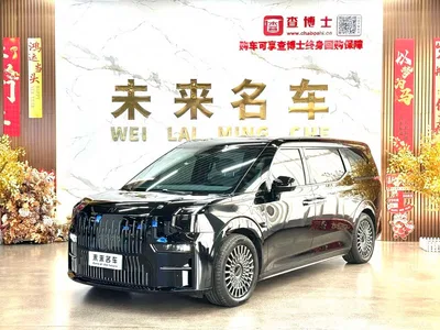 2022 ZEEKR 009 ME Edition, фото 2, лот 11227946