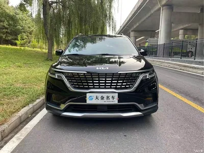 2021 Kia Carnival 2.0T Luxury Tech Edition, фото 3, лот 11016888