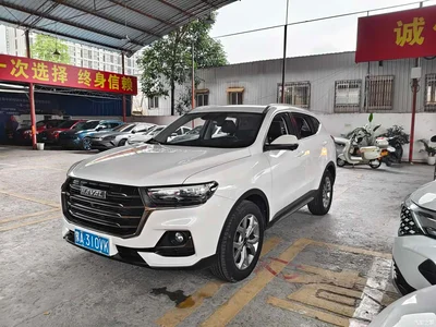 2021 Haval H6 Model National Trend Edition 1.5T Auto Champion, фото 1, лот 10282899