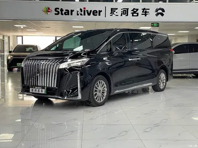 2023 WEY Alpine AWD Executive Long Wheelbase, фото 1, лот 10834056