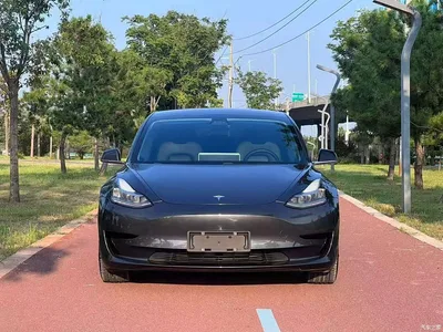 2019 Tesla Model 3 Standard Range Rear-Wheel Drive Upgrade, фото 2, лот 10357107