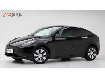 2023 Tesla Model Y Rear-Wheel Drive Edition, фото 1, лот 11558565