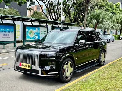2025 ZEEKR 9X Standard Edition, фото 1, лот 10291508
