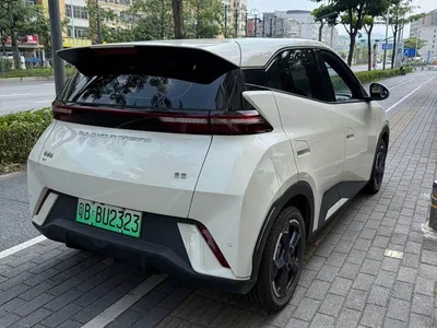 2024 BYD Seagull Glory Edition 305km Freedom Edition, фото 2, лот 11190901