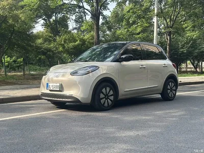 2023 Wuling Motors Wuling Bingo 410km Lingxi Premium Edition, фото 1, лот 10359357