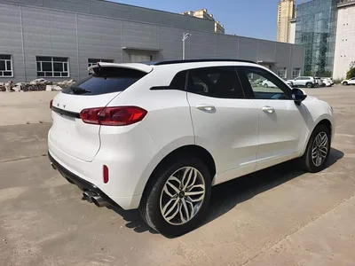 2017 WEY VV5 2.0T Super Luxury Model, фото 3, лот 10451658