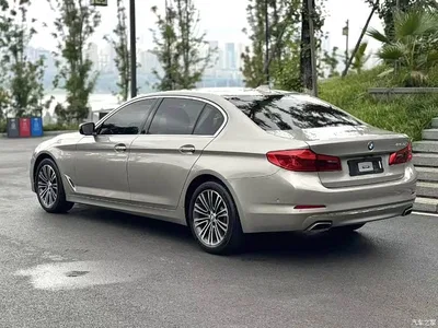 2018 BMW 5 Series Facelift 530Li Exclusive Luxury Package, фото 3, лот 11011930