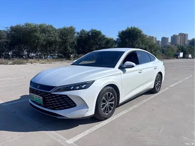 2024 BYD Qin L DM-i 80KM Leading Edition, фото 1, лот 11580272
