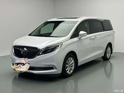 2017 Buick GL8 ES 28T Premium China V, фото 1, лот 11131949