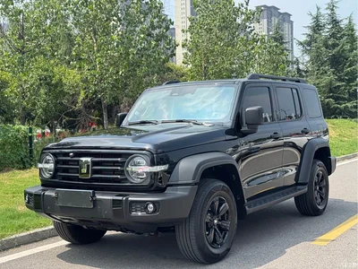 2024 Tank 300 Model 2.0T Challenger, фото 1, лот 10344642
