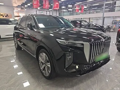 2022 Hongqi E-HS9 690km Qi Xiang Edition (6-seater), фото 4, лот 10625862