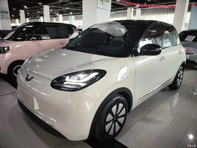 2024 Wuling Motors Wuling Bingo 333km Comfort Edition, фото 1, лот 11138336