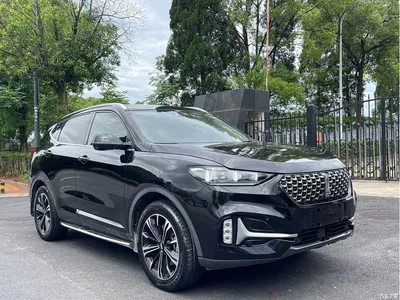 2020 WEY VV6 2.0T 2WD Smart Protection+, фото 3, лот 10482433
