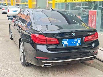2018 BMW 5 Series Facelift 530Li Leading Luxury Package, фото 4, лот 11006943