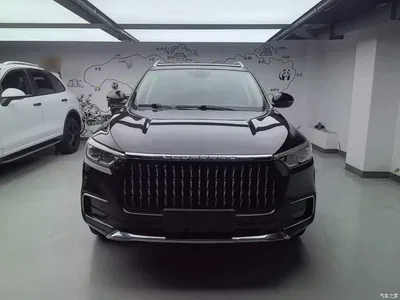 2018 Leopaard Mattu 1.6T GDI DCT Premium Edition, фото 3, лот 11643848