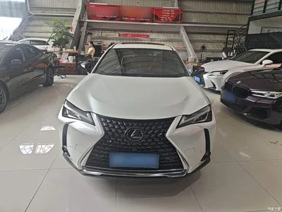 2020 Lexus UX 260h Explore Fun Edition, фото 3, лот 10319252