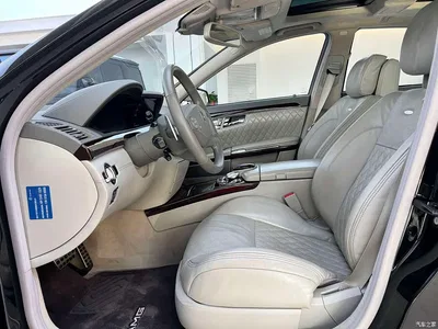 2010 Mercedes-Benz S-Class AMG AMG S 65, фото 4, лот 11241891