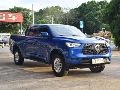 2019 Great Wall Pao 2.0T Commercial Version Automatic Gasoline 2WD Elite Long Box GW4C20B, фото 3, лот 10364250