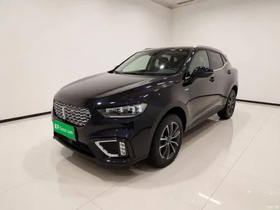 2021 WEY VV5 1.5T 2WD Smart Pioneer, фото 1, лот 10451653