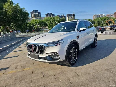 2019 Hongqi HS5 2.0T Intelligent Flagship 4WD Version, фото 1, лот 10360318