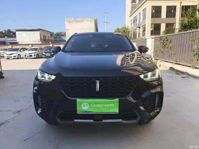 2017 WEY VV5 2.0T Super Luxury Model, фото 3, лот 11570084